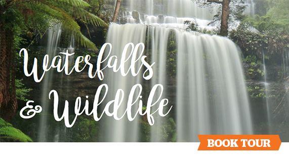 Waterfalls_and_wildlife